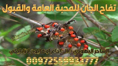 تفاح الجان للمحبة العامة والقبول