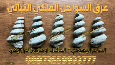 عرق السواحل الملكي النباتي