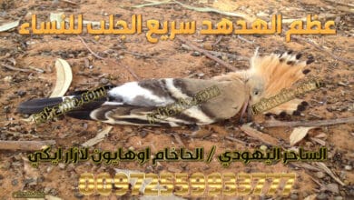 عظم الهدهد سريع الجلب للنساء